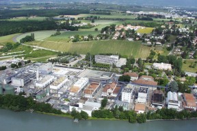 开云- 浓眉哥最新伤势 